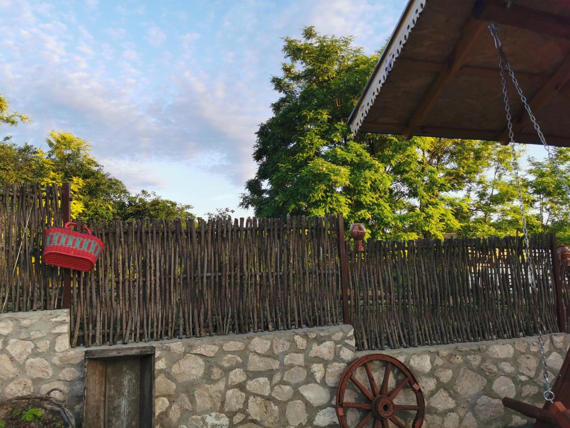 SelemetLa Madalina住宿加早餐旅馆 外观 照片