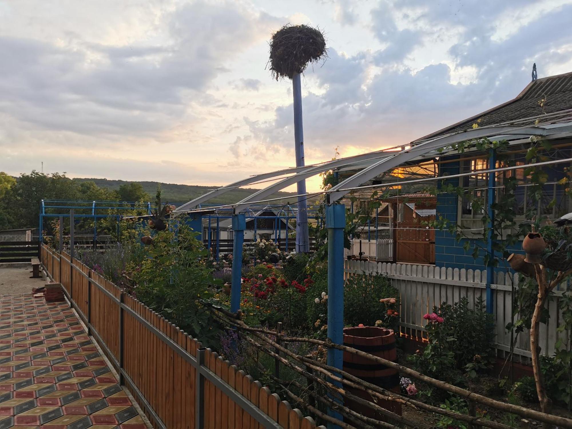 SelemetLa Madalina住宿加早餐旅馆 外观 照片