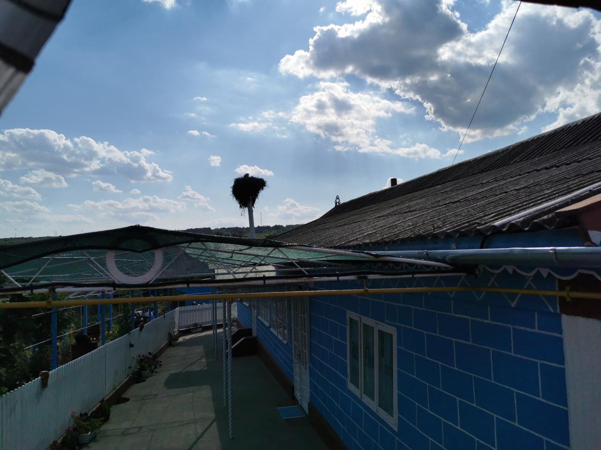 SelemetLa Madalina住宿加早餐旅馆 外观 照片